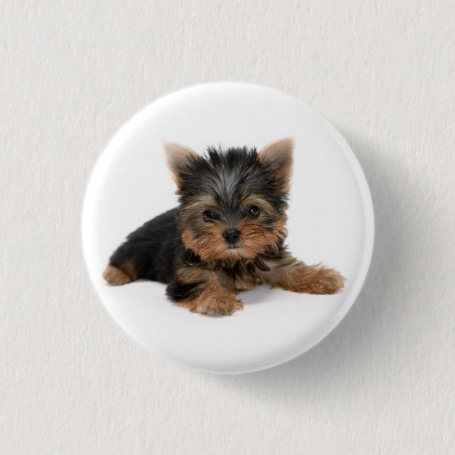 Cute Yorkshire Terrier Puppy 1 Inch Round Button (Front)
