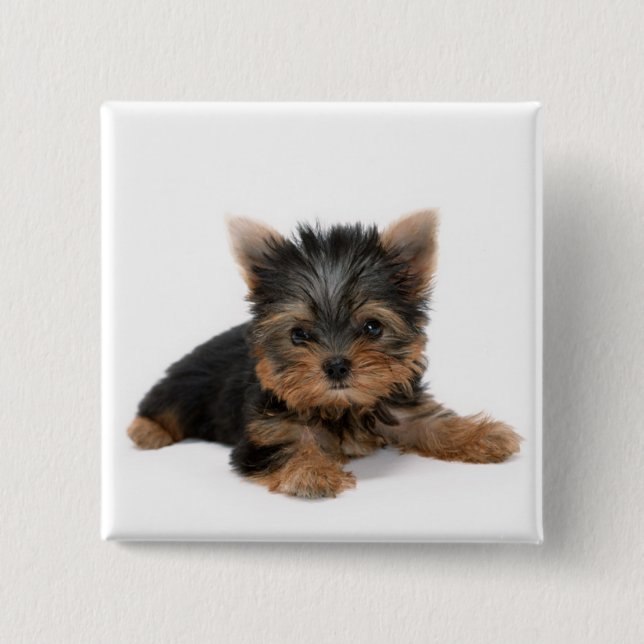Cute Yorkshire Terrier Puppy 2 Inch Square Button (Front)