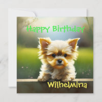 Cute Yorkshire Terrier Puppy Birthday