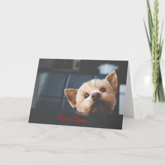 Cute Yorkshire Terrier Puppy Dog Miss You Card (Front)