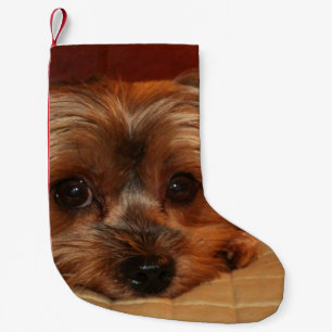 Cute Yorkshire Terrier Puppy Small Christmas Stocking
