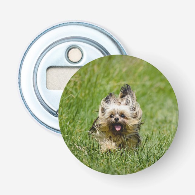 Cute Yorkshire Terrier Running Through Grass Bottle Opener (Front)