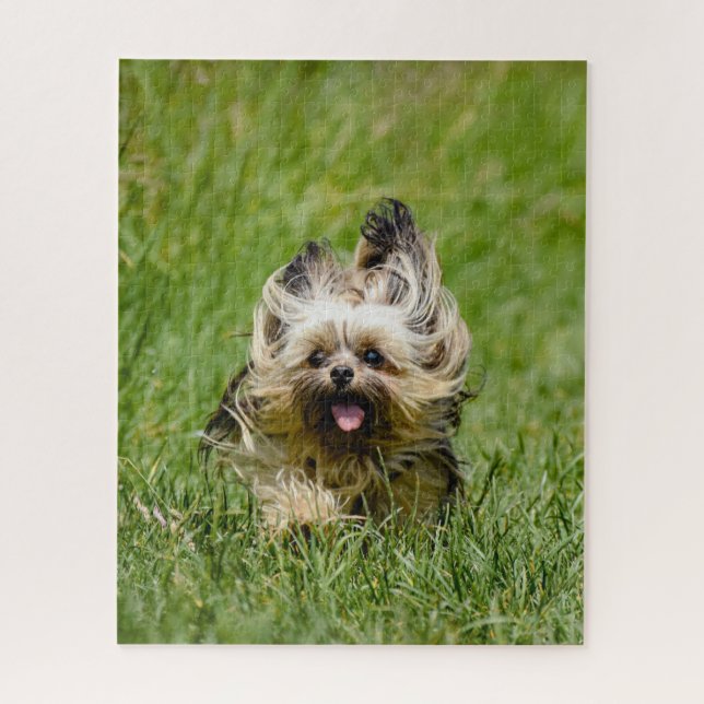 Cute Yorkshire Terrier Running Through Grass Jigsaw Puzzle (Vertical)