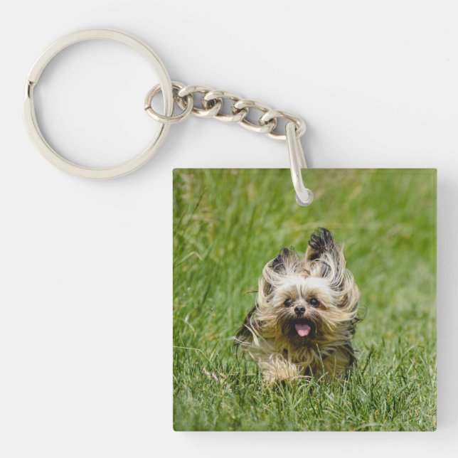 Cute Yorkshire Terrier Running Through Grass Keychain (Front)