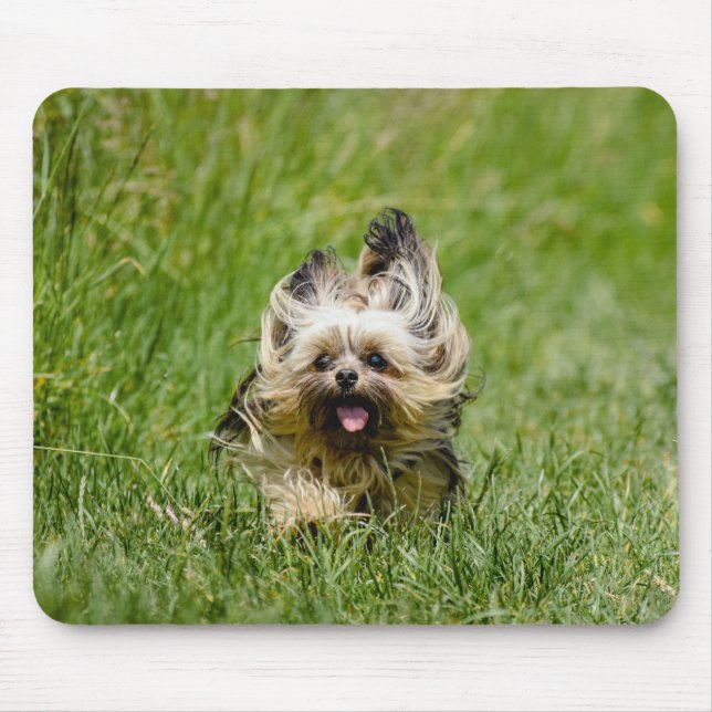 Cute Yorkshire Terrier Running Through Grass Mouse Pad (Front)