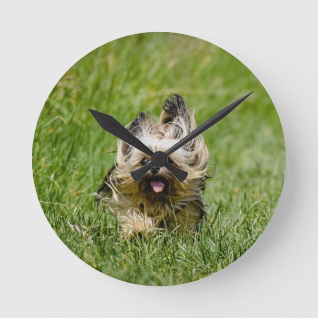 Cute Yorkshire Terrier Running Through Grass Round Clock (Front)