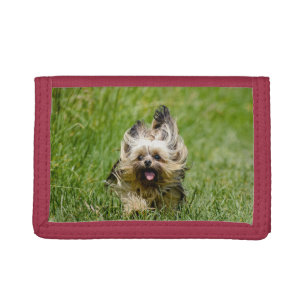 Cute Yorkshire Terrier Running Through Grass Trifold Wallet