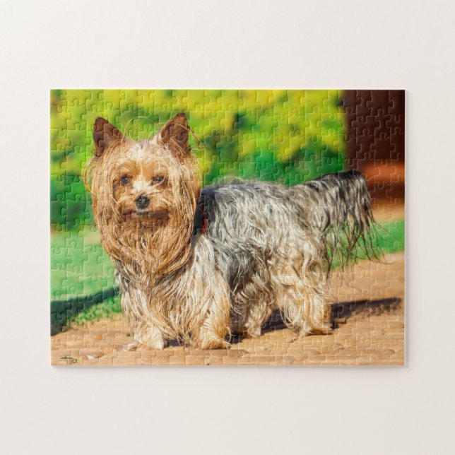 Cute Yorkshire Terrier Yorkie Dog Puppy Jigsaw Puzzle (Horizontal)