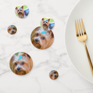 Cute Yorkshire Terrier Yorkie Favourite Breed Confetti