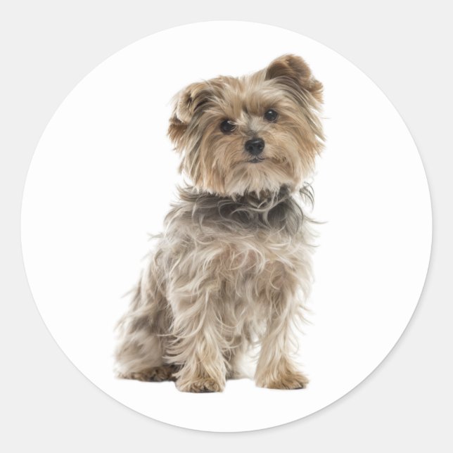 Cute Yorkshire Terrier Yorkie Puppy Dog Mom Dad Classic Round Sticker (Front)