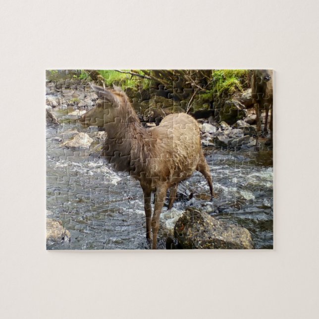 Cute Young Deer by River Scene Forest Wildlife  Jigsaw Puzzle (Horizontal)