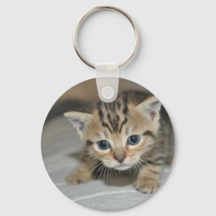 Cute Young Kitten Keychain
