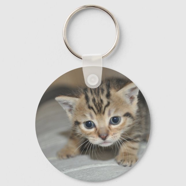 Cute Young Kitten Keychain (Front)