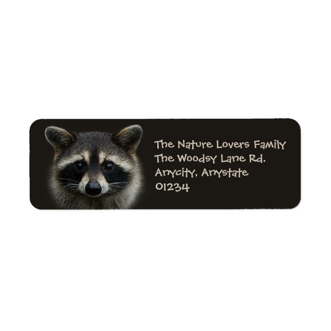 Cute Young Raccoon Face Mask Stare (Front)