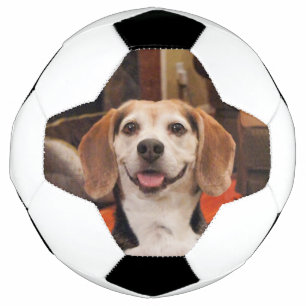 Cute Your Own Pet Photo Modern Custom Soccer Ball