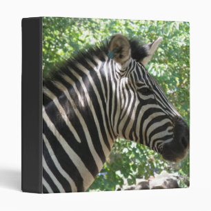 Cute Zebra Binder
