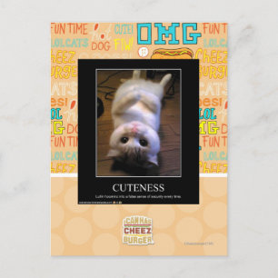 Cuteness 2 postcard