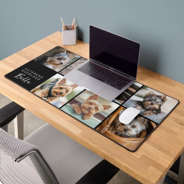 Cuteness Overboard Script Pet Photo (Créateur téléchargé)