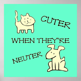 Cuter Poster