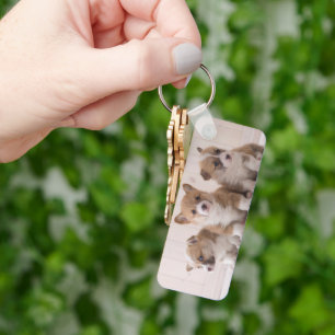 Cutest Baby Animals 3 Baby Corgis Keychain
