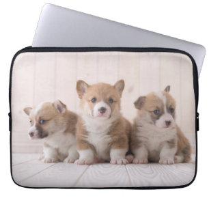 Cutest Baby Animals 3 Baby Corgis Laptop Sleeve