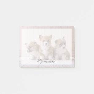 Cutest Baby Animals   3 Baby Corgis Post-it Notes