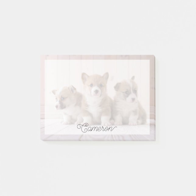 Cutest Baby Animals | 3 Baby Corgis Post-it Notes (Front)