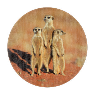 Cutest Baby Animals   3 Meerkats Cutting Board