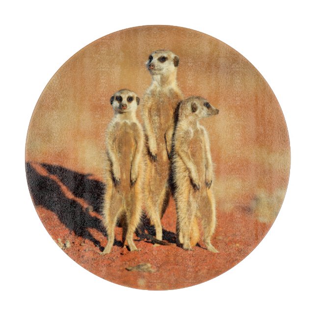 Cutest Baby Animals | 3 Meerkats Cutting Board (Front)