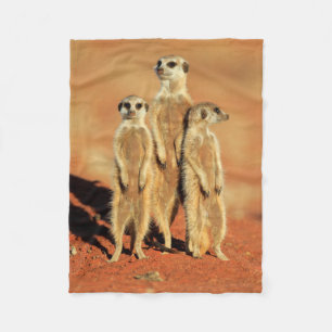 Cutest Baby Animals 3 Meerkats Fleece Blanket