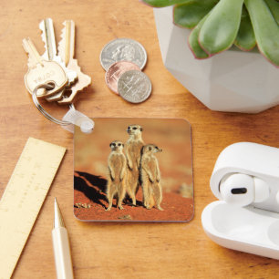 Cutest Baby Animals 3 Meerkats Keychain