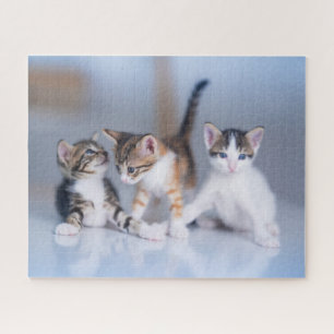 Cutest Baby Animals   3 Tabby Kittens Jigsaw Puzzle