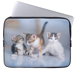 Cutest Baby Animals 3 Tabby Kittens Laptop Sleeve