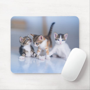 Cutest Baby Animals 3 Tabby Kittens Mouse Pad