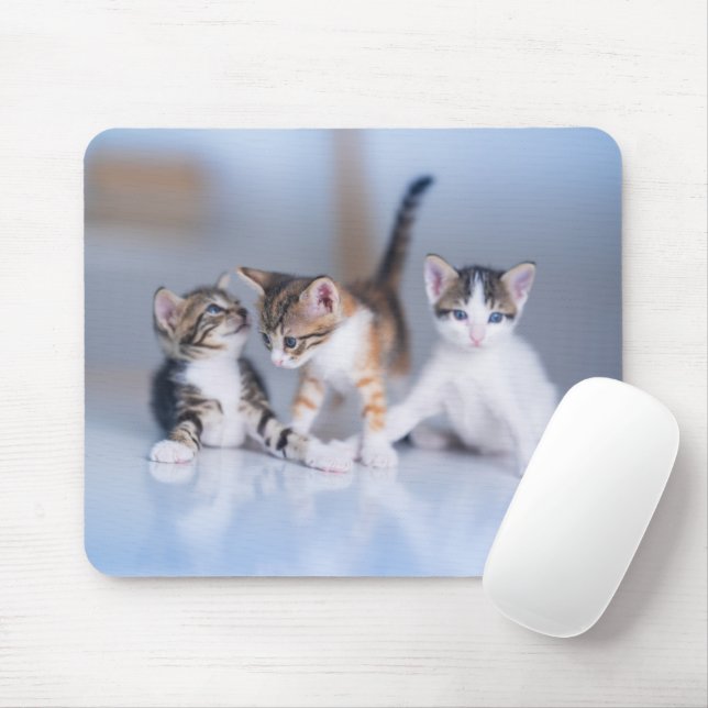 Cutest Baby Animals | 3 Tabby Kittens Mouse Pad (With Mouse)