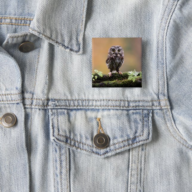 Cutest Baby Animals | A Baby Owl 2 Inch Square Button (In Situ)