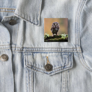 Cutest Baby Animals   A Baby Owl 2 Inch Square Button