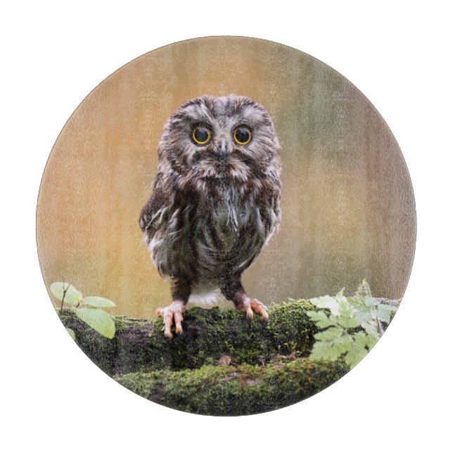 Cutest Baby Animals | A Baby Owl Cutting Board (Front)