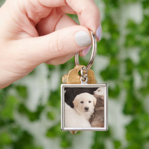 Cutest Baby Animals   A Cute Pile of Puppies Keychain