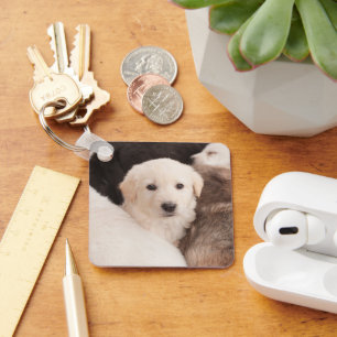 Cutest Baby Animals   A Cute Pile of Puppies Keychain