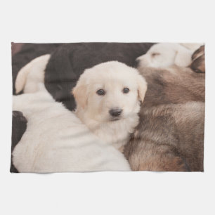 Cutest Baby Animals A Cute Pile of Puppies Kitchen Towel