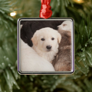 Cutest Baby Animals A Cute Pile of Puppies Metal Ornament