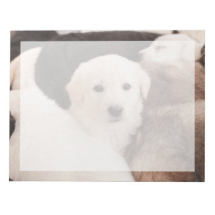 Cutest Baby Animals   A Cute Pile of Puppies Notepad