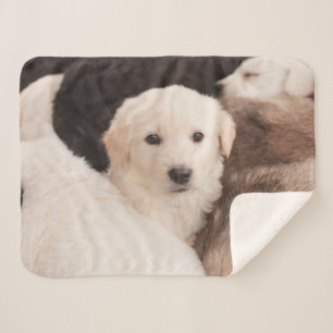 Cutest Baby Animals A Cute Pile of Puppies Sherpa Blanket