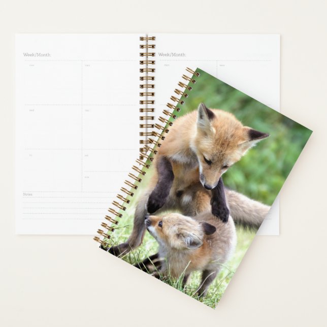 Cutest Baby Animals | Adorable Fox Kit & Mama Planner (Display)