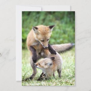 Cutest Baby Animals Adorable Fox Kit & Mama Thank You Card