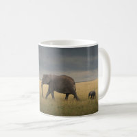 Cutest Baby Animals | African Elephant Family