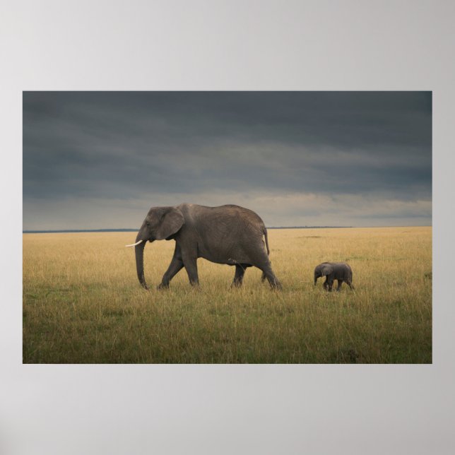 Cutest Baby Animals | African Elephant Family Poster (Front)