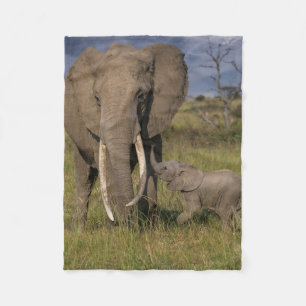 Cutest Baby Animals Amama Elephant With Baby Fleece Blanket