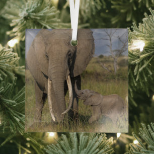 Cutest Baby Animals   Amama Elephant With Baby Glass Ornament